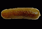 bissgurke