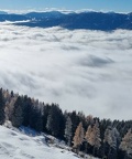 Berg